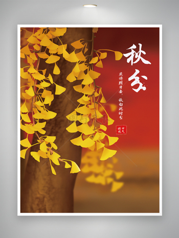 秋分中国传统节气宣传海报