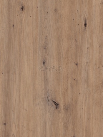  橡木木纹纹理背景图案贴图原木多木结虫孔自然