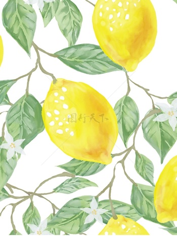 植物花纹 柠檬