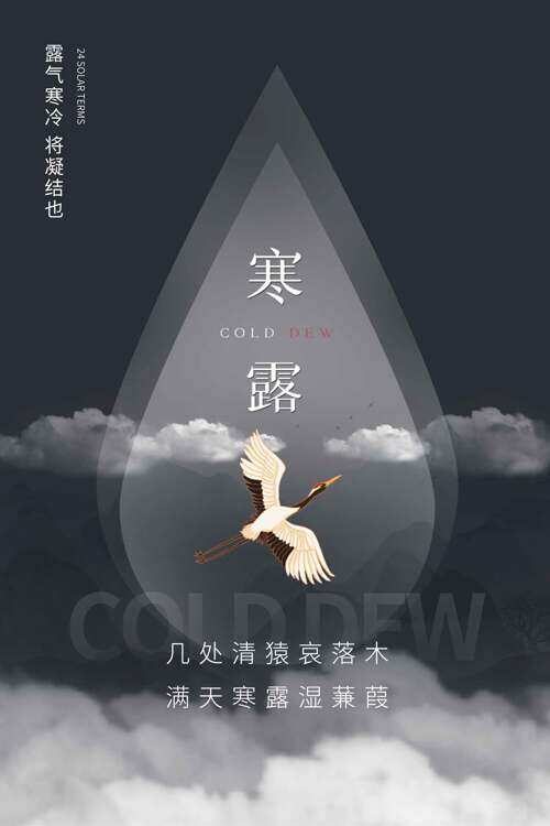 寒露飞鹤水滴灰黑简约创意海报