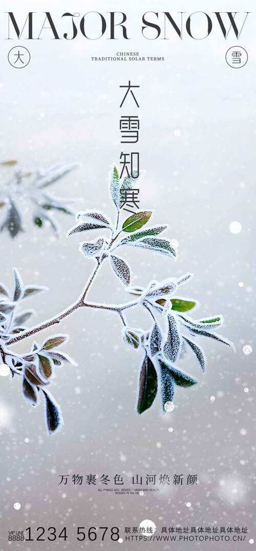 万物裹冬色山河焕新颜大雪知寒主题海报